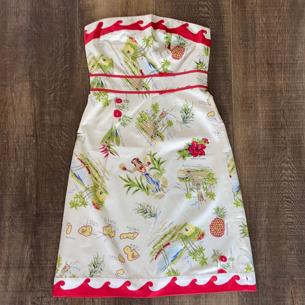 J Crew Woman’s Dress 100% cotton Dress